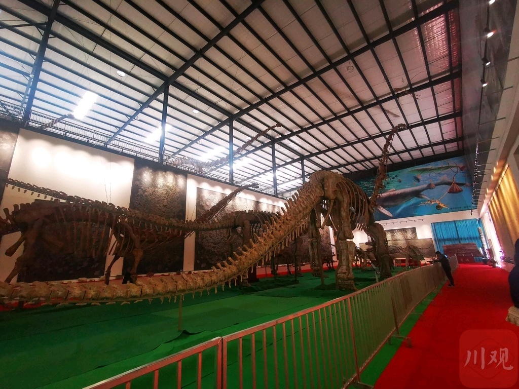 参观恐龙化石博物馆意义,上海有恐龙化石的博物馆是哪个