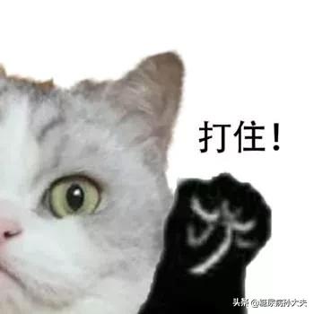 拿什么拯救你我的体重,拿什么拯救你我的肥胖