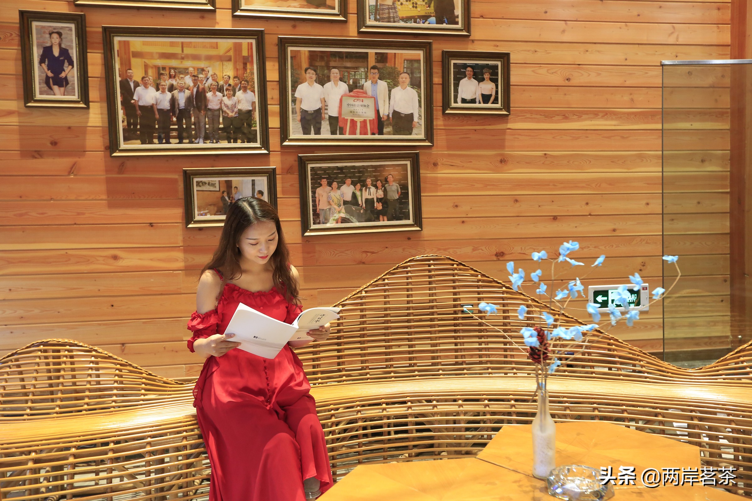 再看白云山,看山不是山,它是一本百读不厌的百科全书