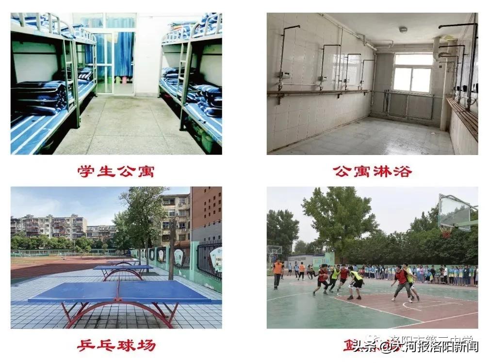 2024洛阳三中高中招生电话,洛阳第三中学招生办电话