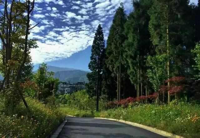 顺丰汪勇之生死之外获得多少奖金,顺丰小哥汪勇连升3级