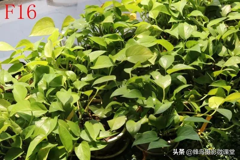 镜头有灰会进cmos吗,镜头有灰有影响二手价格吗