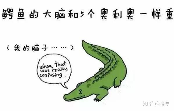 想象中不一样的动物冷知识,悲伤的动物视频