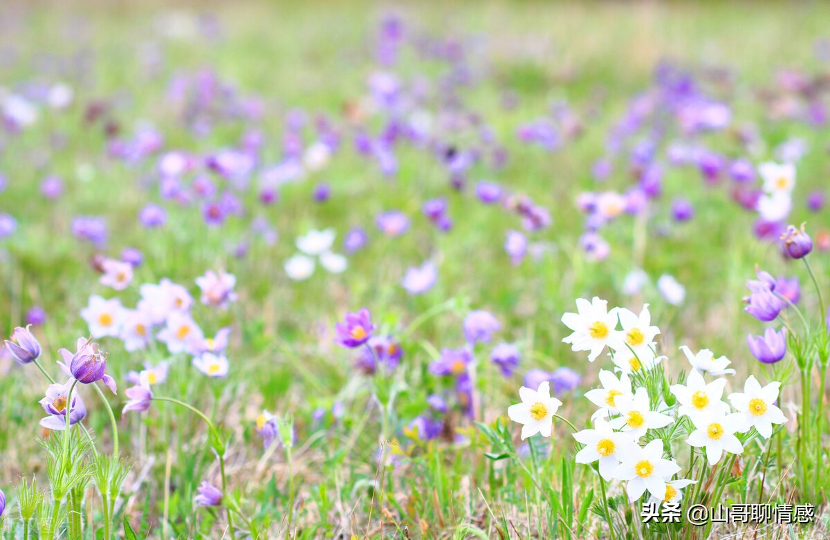当你感到绝望的时候来听听这首歌,当你觉得绝望的时候该怎么办