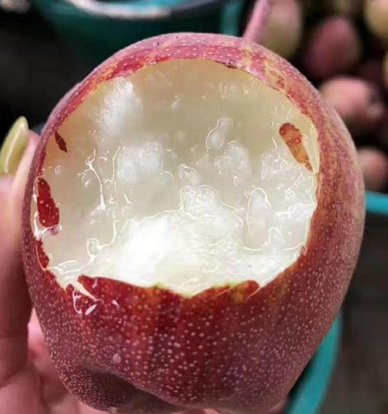 气温高吃什么水果降暑,大暑想要消暑适合吃这些水果