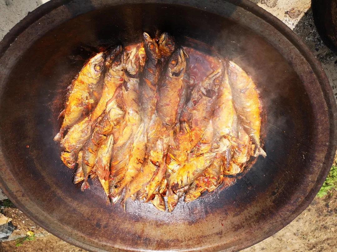 真香预警！300亩花海盛放，烤全羊十里飘香！