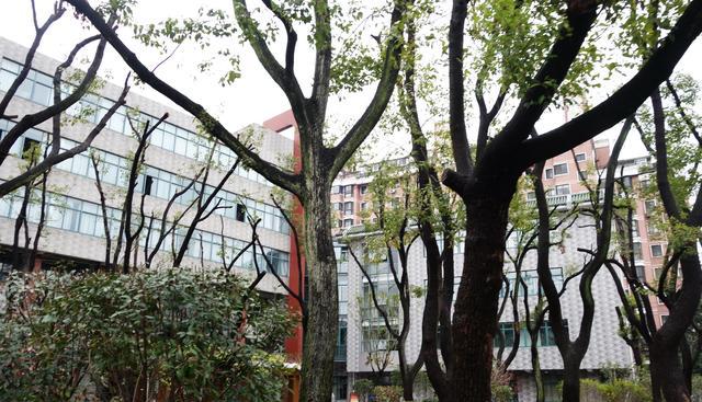 无锡市湖滨中学,无锡湖滨特色初中