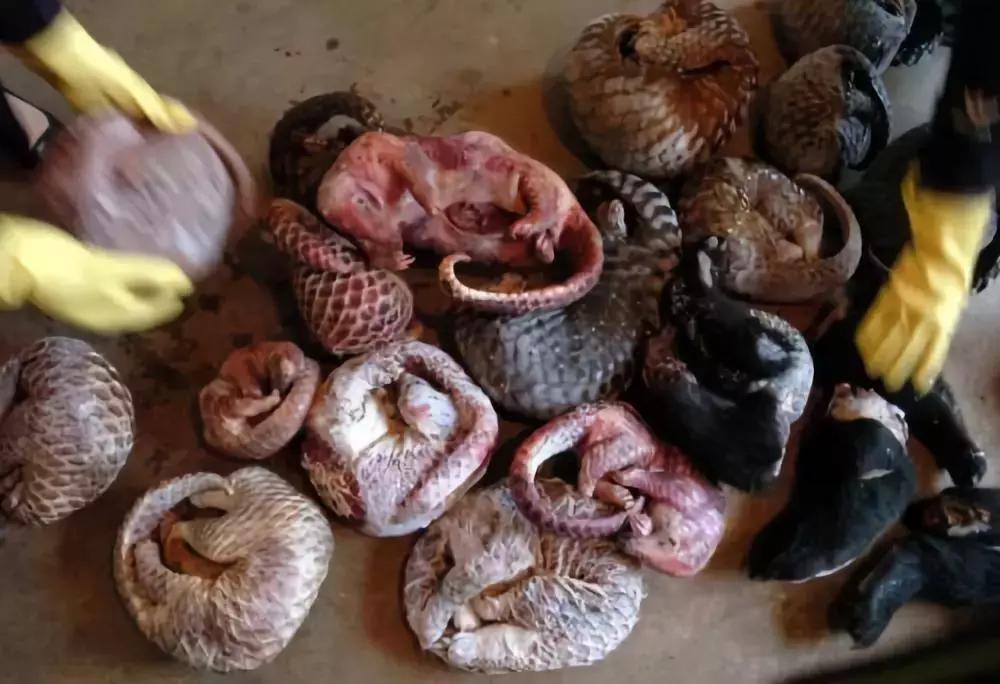 七宗罪揭露真实人性,七宗罪现实版