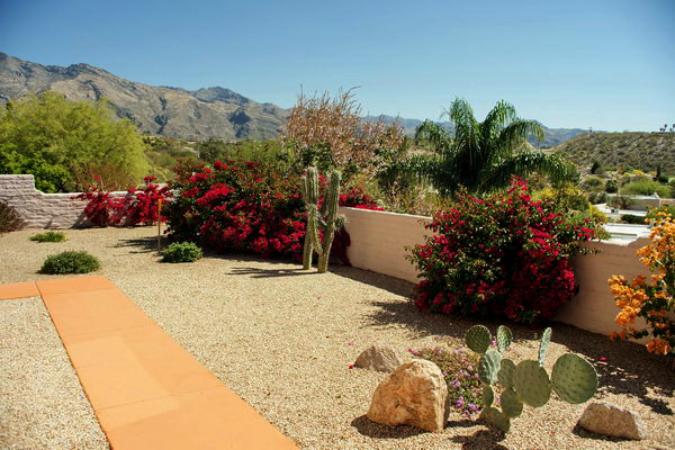 单反镜头里面的霉丝怎么处理,单反镜头进灰