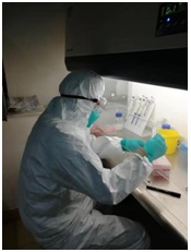 病毒“最亲密接触者”的情怀——记贵阳市疾控中心检验科全体人员