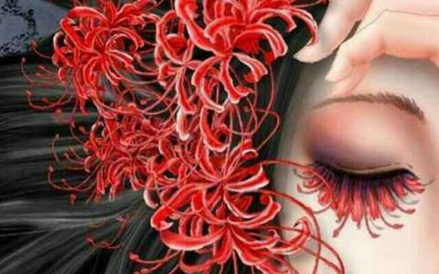 四季种球植物曼珠沙华彼岸花 (曼珠沙华的忧伤与思念)