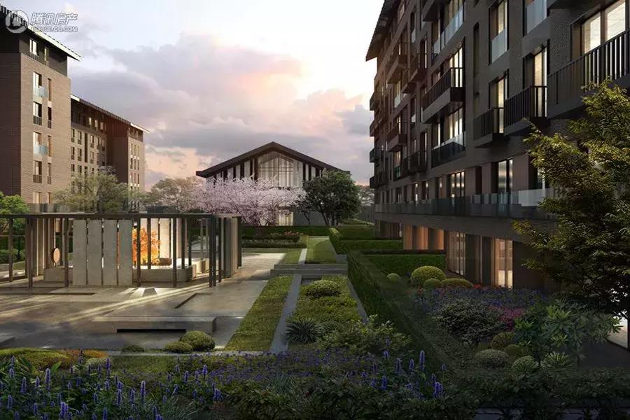 盘点郑州这些C位出道的热盘