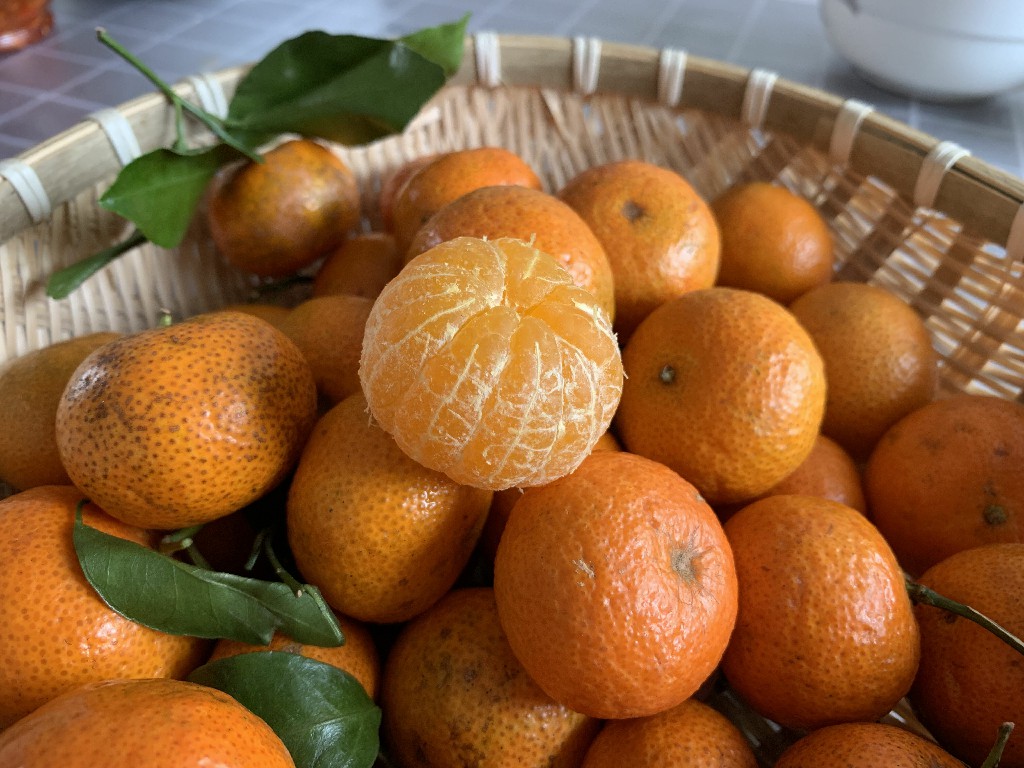 经常吃砂糖橘手会发黄吗,经常吃砂糖橘对孩子好吗