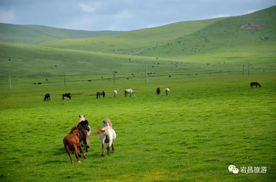 故乡是潮汕片段,故乡是潮汕中文版