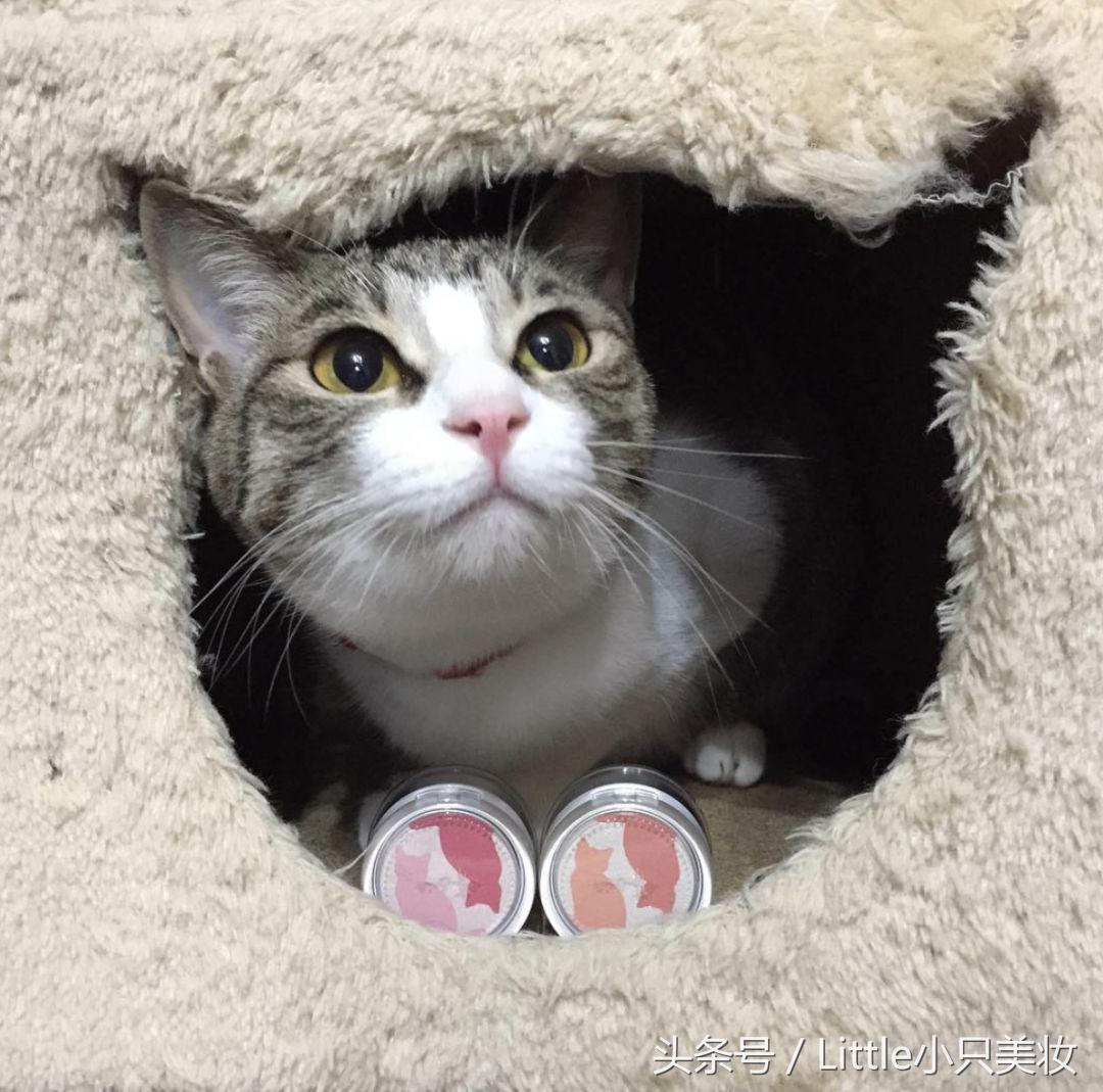 资生堂旗下平价好用护肤品,资生堂必买的10款产品