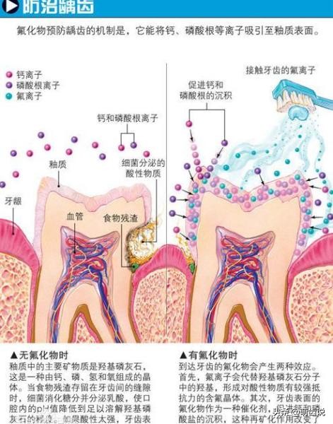 儿童应该选用儿童牙膏,这四种儿童牙膏千万别给孩子用了