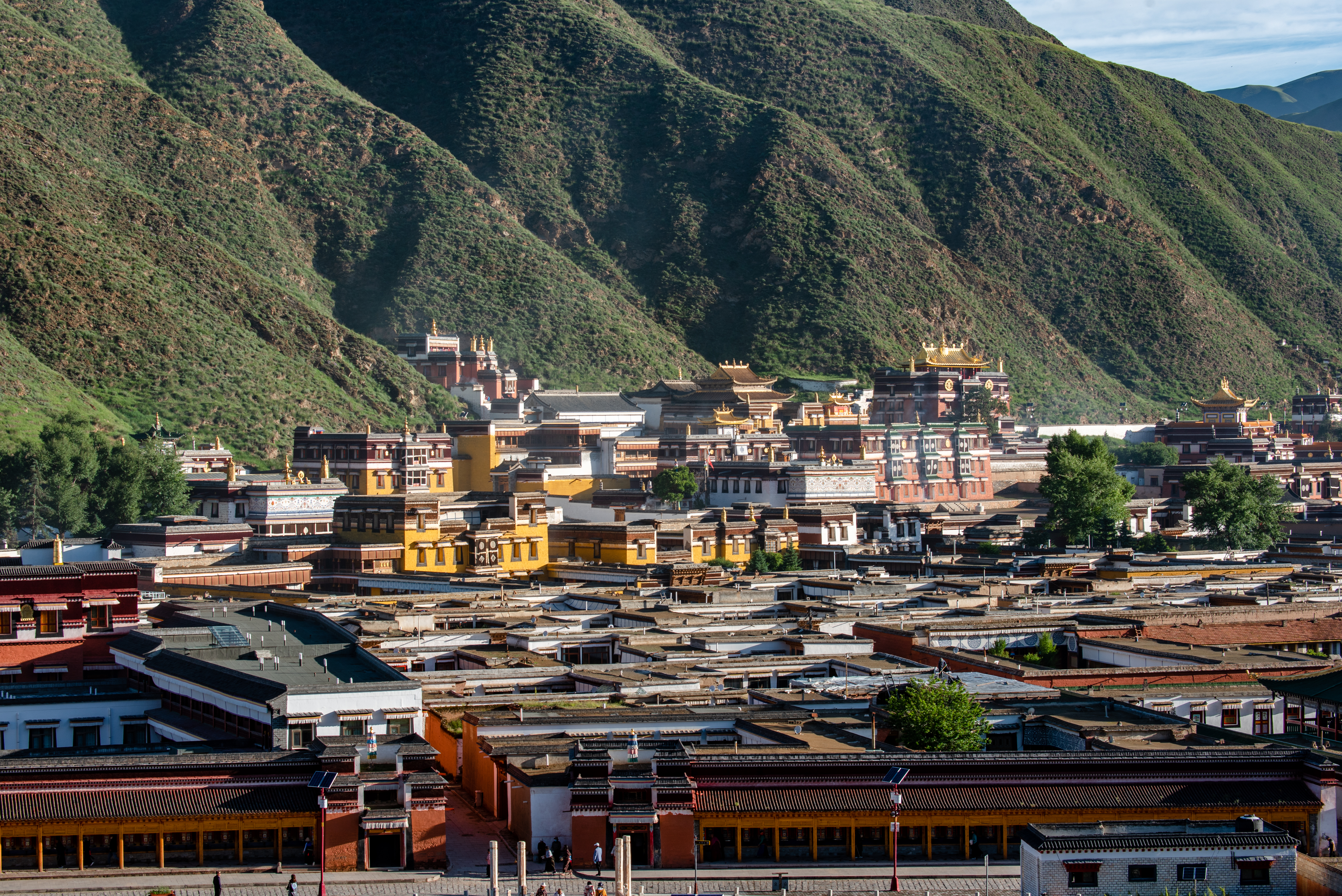 拉卜楞寺的神奇,拉卜楞寺的藏医