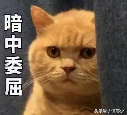 代购的深刻反省,收到代购假货居然还被骂