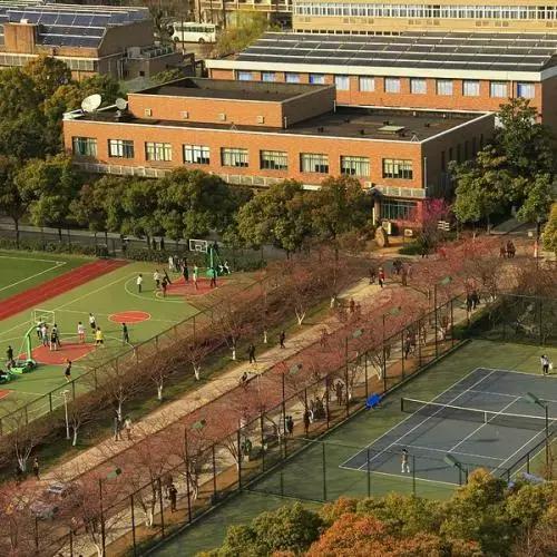 大局已定创业路何去何从,杨浦区的发展趋势