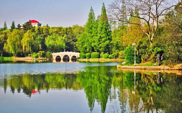 上海杨浦区最新发展规划,大局已定未来五年咋样