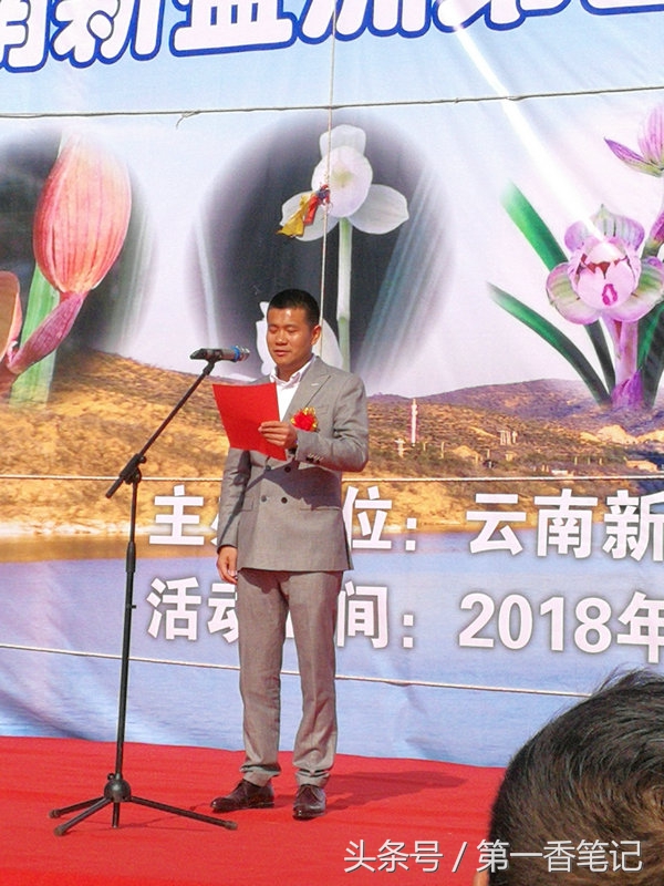 2018年昆明兰花展精品图片,云南兰花展作品欣赏