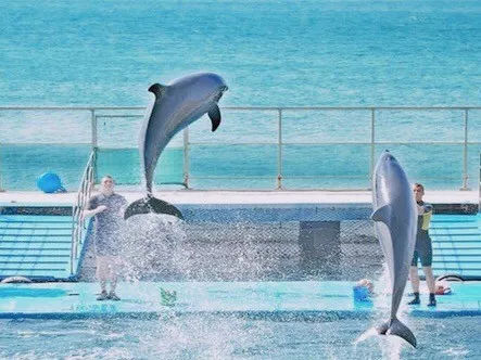 芽庄旅游攻略小清新,芽庄旅游小清新