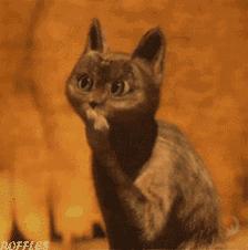 中国最著名的四大名旦,四大名旦苏州