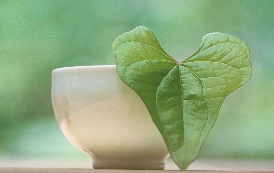 日子的滋味美文,小日子过得不错的美文