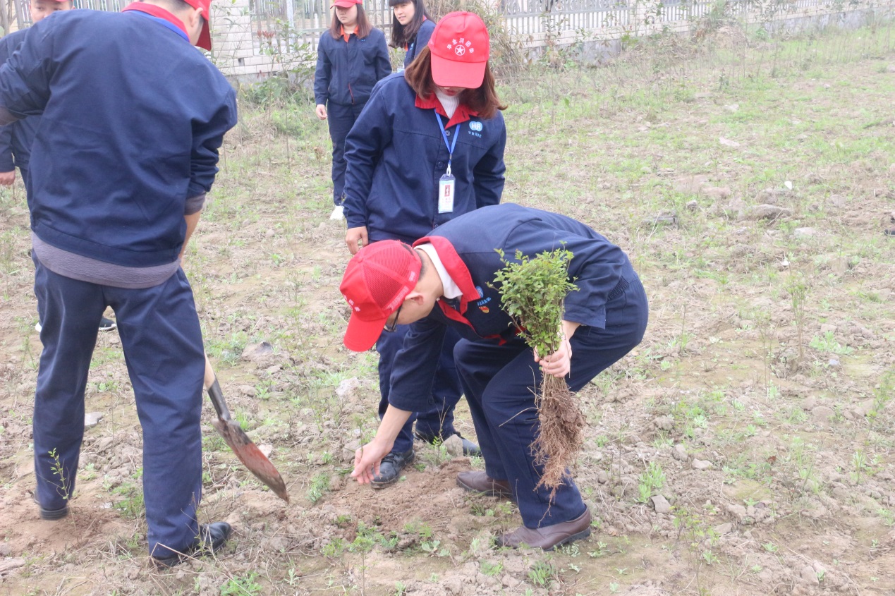 华金润,华金润集团信息技术产业园