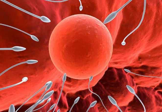 易孕体质四十岁容易怀孕吗,女人有这五种情况容易怀孕