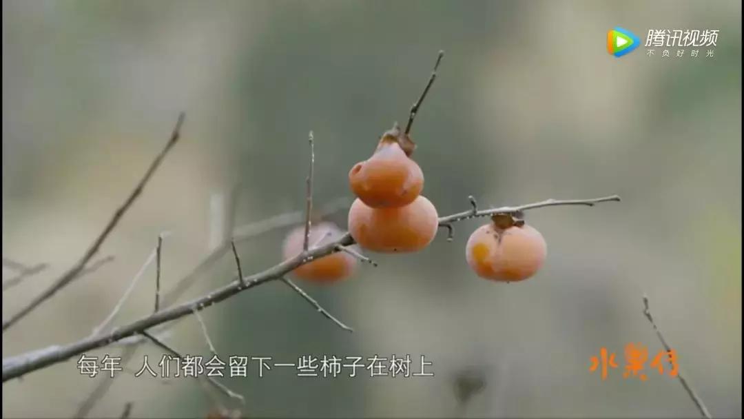 一部看完就想去买水果的纪录片，一次过见识50个城市的奇珍异果！