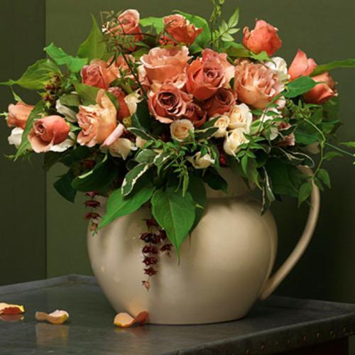 如何养花店买的玫瑰花,如何能养出和花店一样的玫瑰花