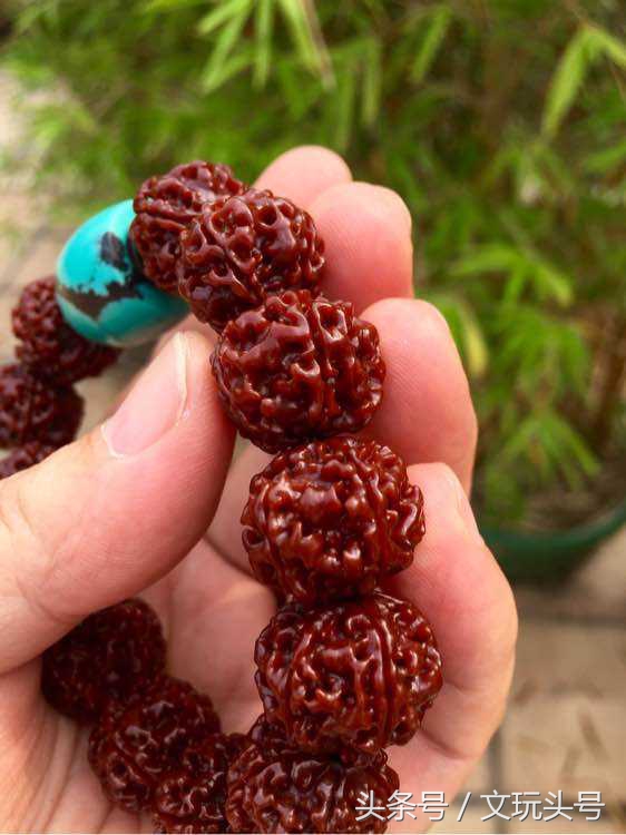 金刚菩提手串为什么会开裂,金刚开裂都是哪里开裂