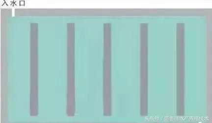 淡水小龙虾池塘如何建设,精养小龙虾早期池塘维护