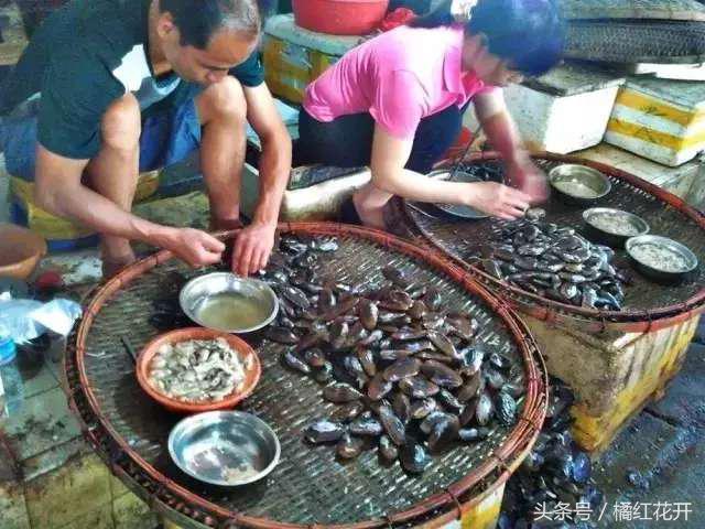 你好湛江吴川仔粤语版,欢迎来到吴川