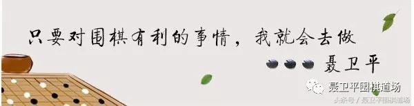 聂卫平少儿围棋入门第1课,第三届中日围棋擂台聂卫平