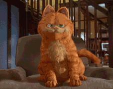 感觉自己养了一只猫是假猫 (你会觉得自己养了一只假猫吗)