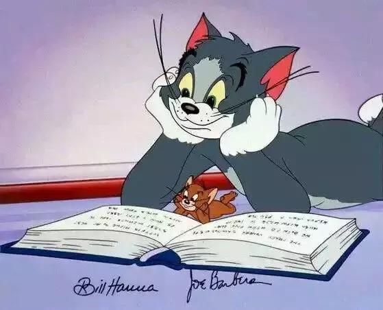 感觉自己养了一只猫是假猫 (你会觉得自己养了一只假猫吗)