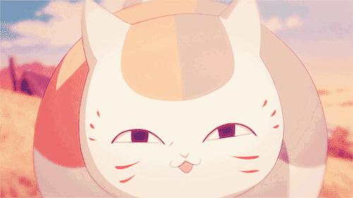 感觉自己养了一只猫是假猫 (你会觉得自己养了一只假猫吗)