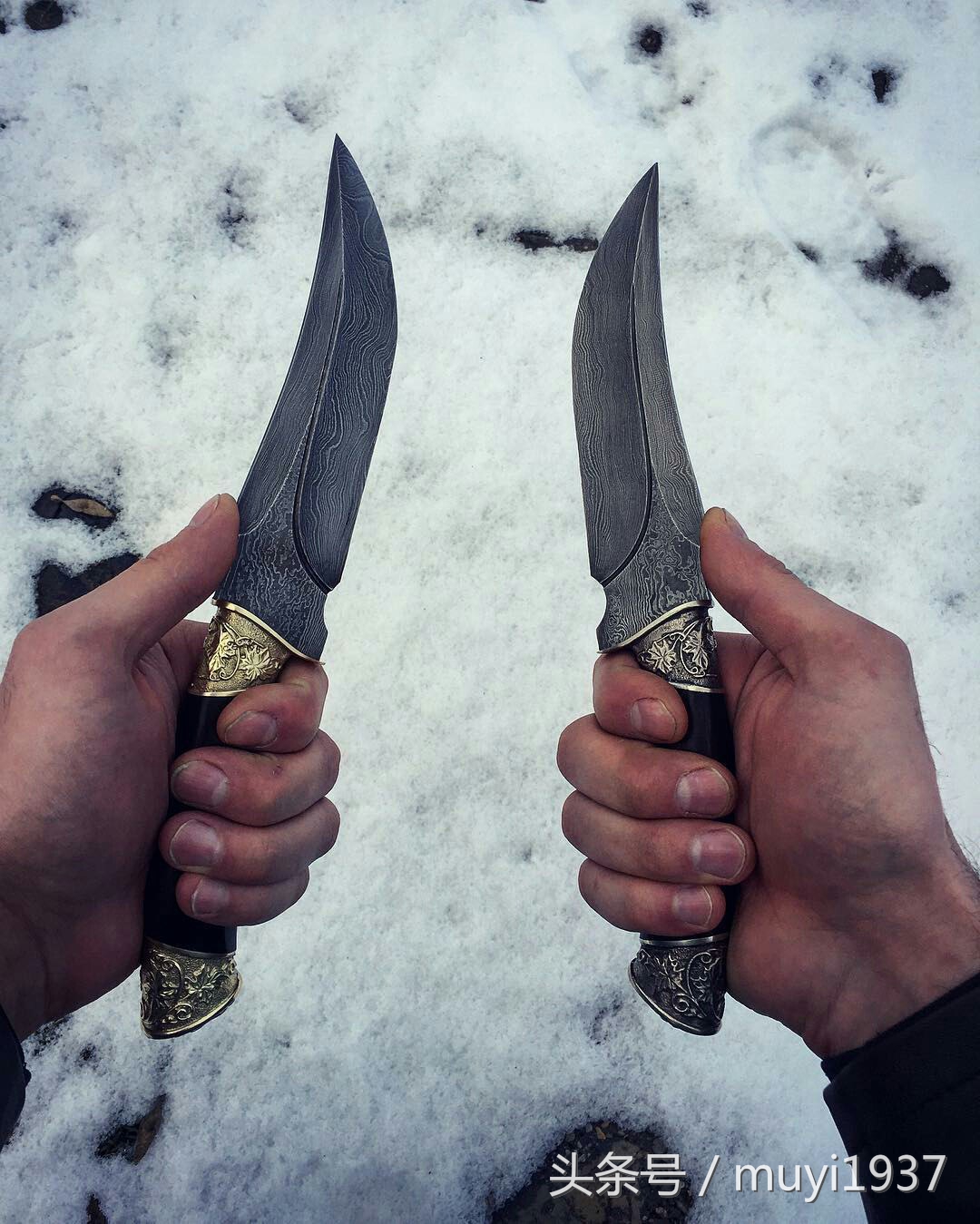 闯荡江湖需要什么条件,闯荡江湖的正确方法