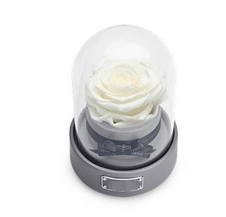 情人节礼物一半浪漫一半实用,又大份又好看的情人节礼物推荐