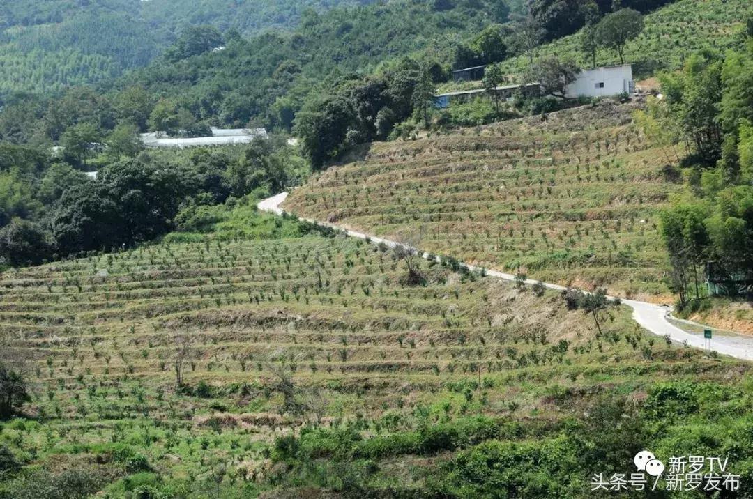 因开采煤矿而被淹没的村庄,因为开采矿洞塌陷的村庄