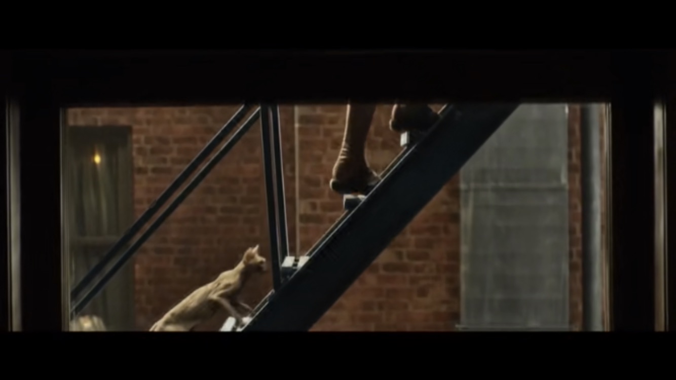 加拿大斯芬克斯无毛猫拿斧头,斯芬克斯猫被人们称为短脚猫