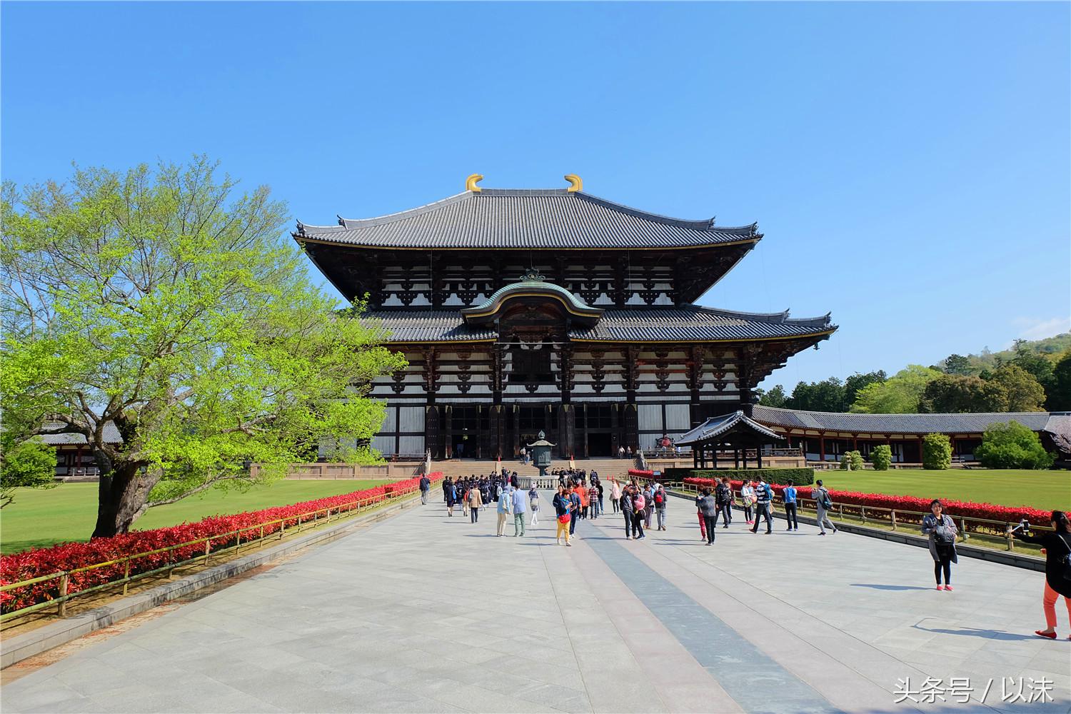 奈良公园喂小鹿视频,日本奈良公园喂小鹿