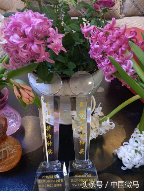 湘潭首届“万达中心杯”拔河争霸赛—湘潭市微马协会春之舞