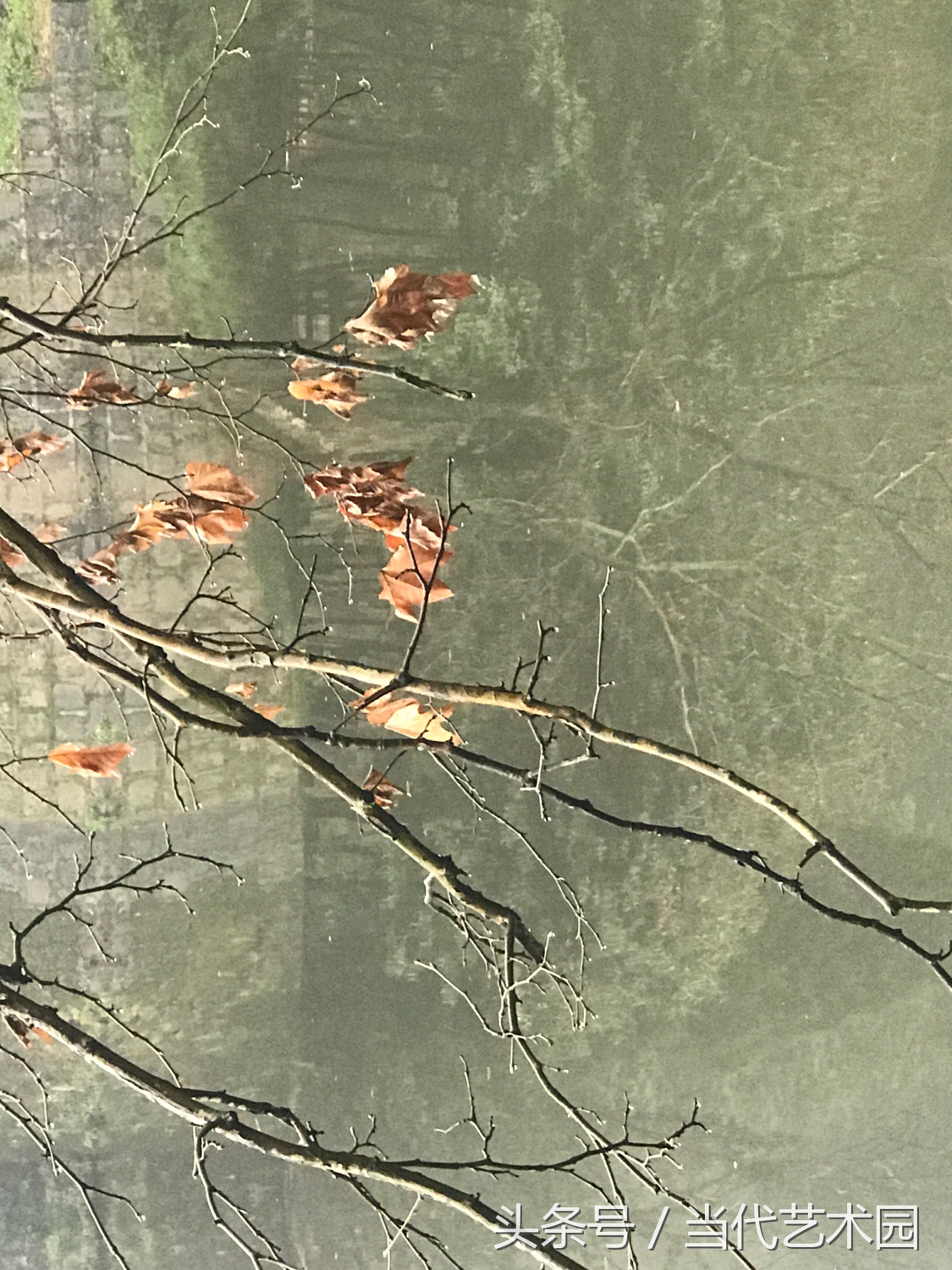 鸿运当头墨豪国画作品欣赏,墨豪国画作品百鸟图拍卖现场