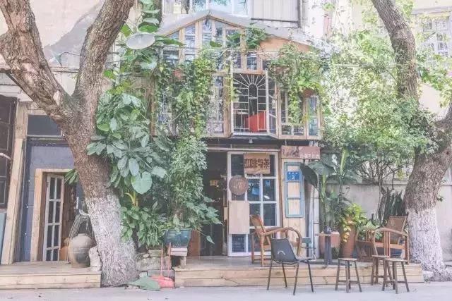 厦门奇怪的花店,厦门比较有名的绿植花店