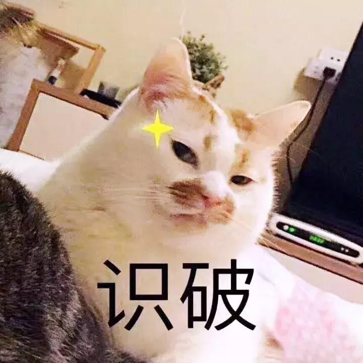 良心推荐小众服装品牌,便宜又好穿的小众服装品牌