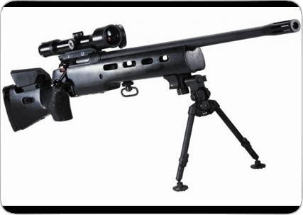 世界十大狙战枪神,世界排名前十的击狙枪