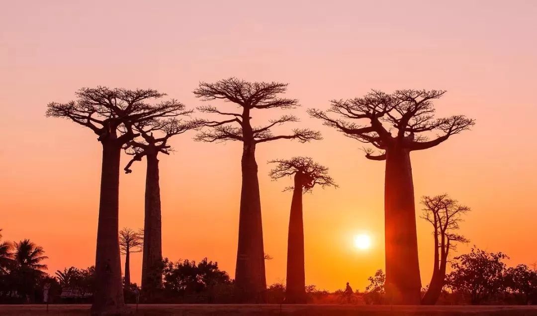 30种在地球“浪”的方式，做过10件，算你牛！